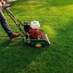 Classic Standard 20 in. 7-Blade Gas Walk Behind Lawn Mower - Image 6