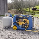 FIRMAN WH03242F 4000W Electric Start Dual Fuel Inverter Generator - Image 2